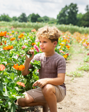 Boy's Knit Top - PEPPERCORN